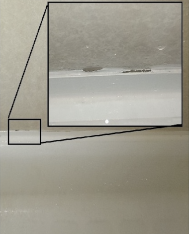 screenshot 2026 02 02 at 10.03.03 am