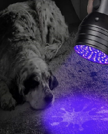 screenshot 2026 02 02 at 10.03.17 am