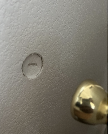 screenshot 2026 02 02 at 10.11.38 am