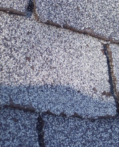 screenshot 2026 02 02 at 10.19.33 am