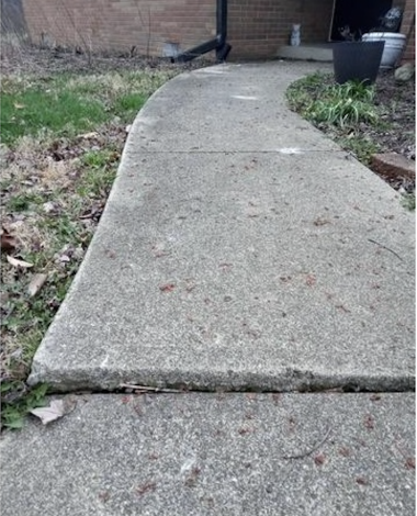 screenshot 2026 02 02 at 10.24.22 am