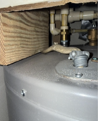 screenshot 2026 02 02 at 9.29.10 am